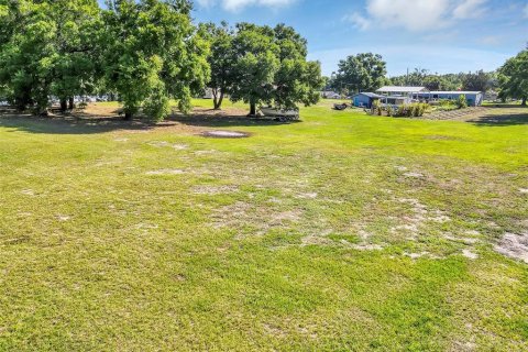 Land in Mount Dora, Florida № 1841893 - photo 3