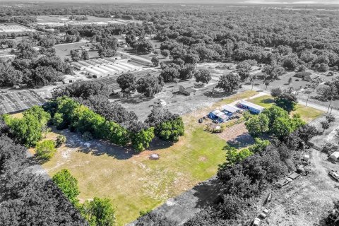 Land in Mount Dora, Florida № 1841893 - photo 21