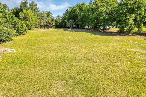 Land in Mount Dora, Florida № 1841893 - photo 2