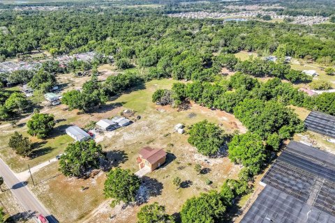 Land in Mount Dora, Florida № 1841893 - photo 18