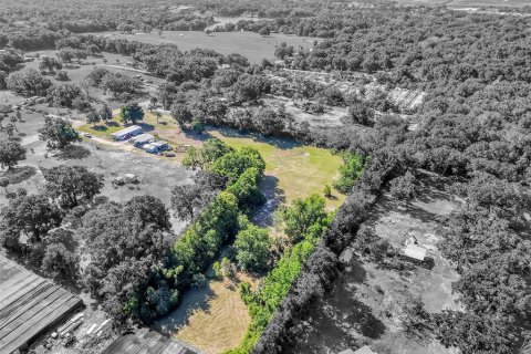 Land in Mount Dora, Florida № 1841893 - photo 19