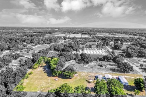 Land in Mount Dora, Florida № 1841893 - photo 22