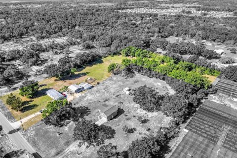 Land in Mount Dora, Florida № 1841893 - photo 17