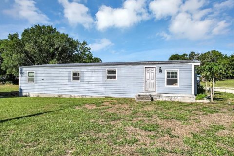 Land in Mount Dora, Florida № 1841893 - photo 30