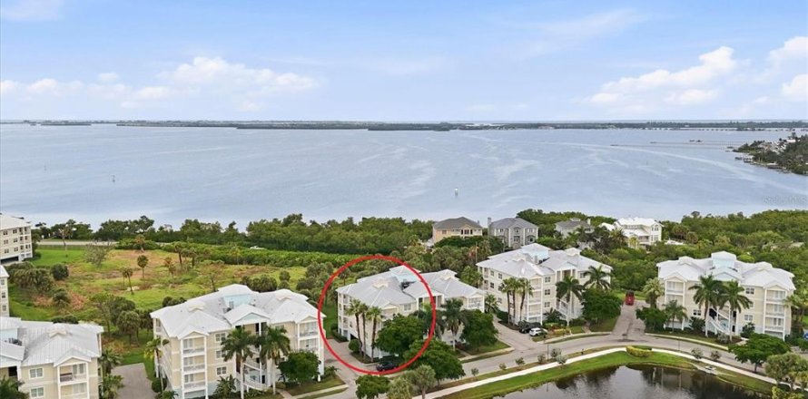 Condo à Bradenton, Floride, 3 chambres  № 2408879
