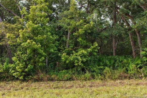 Land in Old Town, Florida № 2393395 - photo 11