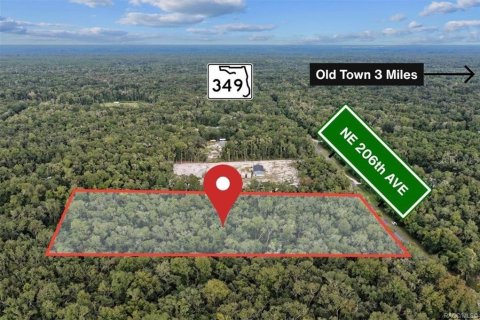 Land in Old Town, Florida № 2393395 - photo 18