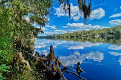 Land in Old Town, Florida № 2393395 - photo 21