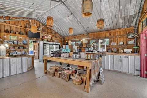 Propiedad comercial en venta en Yalaha, Florida, 160.26 m2 № 2093811 - foto 6