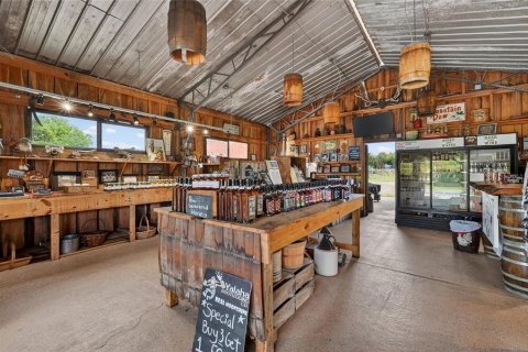 Propiedad comercial en venta en Yalaha, Florida, 160.26 m2 № 2093811 - foto 5