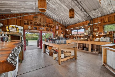 Propiedad comercial en venta en Yalaha, Florida, 160.26 m2 № 2093811 - foto 9