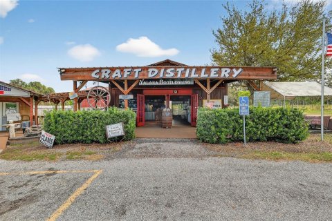 Propiedad comercial en venta en Yalaha, Florida, 160.26 m2 № 2093811 - foto 3