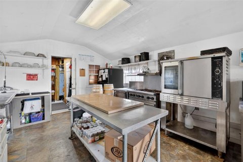 Propiedad comercial en venta en Yalaha, Florida, 160.26 m2 № 2093811 - foto 17