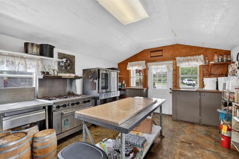 Propiedad comercial en venta en Yalaha, Florida, 160.26 m2 № 2093811 - foto 18