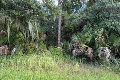 Land in Port Charlotte, Florida № 2362496
