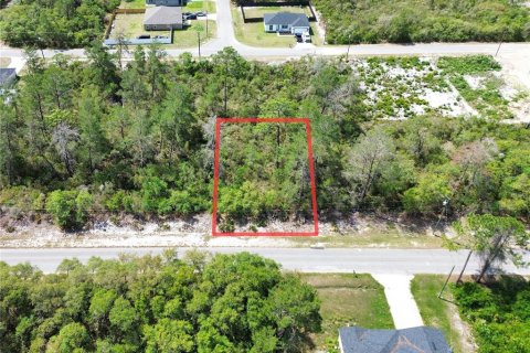 Land in Ocklawaha, Florida № 2199089