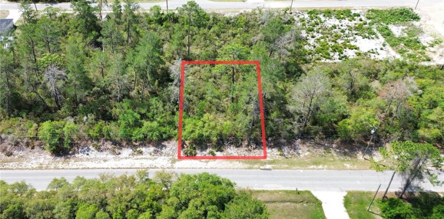 Land in Ocklawaha, Florida № 2199089