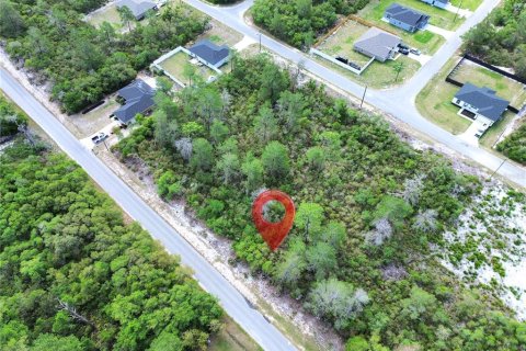 Land in Ocklawaha, Florida № 2199089 - photo 2