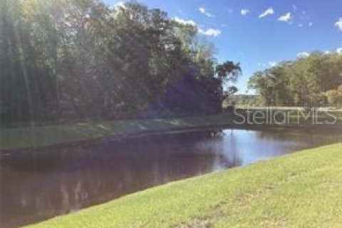 Townhouse in Land O' Lakes, Florida 3 bedrooms, 154.78 sq.m. № 2197466 - photo 12