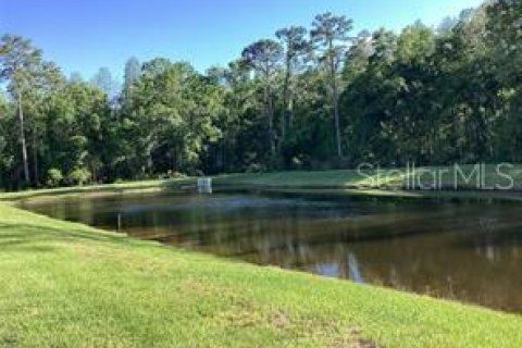 Townhouse in Land O' Lakes, Florida 3 bedrooms, 154.78 sq.m. № 2197466 - photo 13