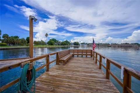 Condo in Saint Petersburg, Florida, 1 bedroom  № 2115909 - photo 11