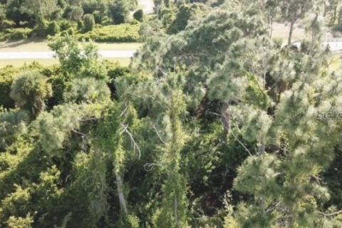 Terrain à North Port, Floride № 2159412