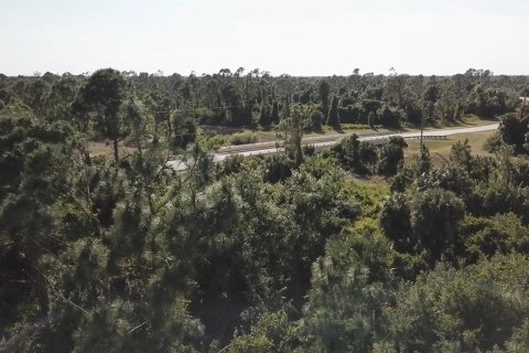 Terrain à vendre à North Port, Floride № 2159412 - photo 21