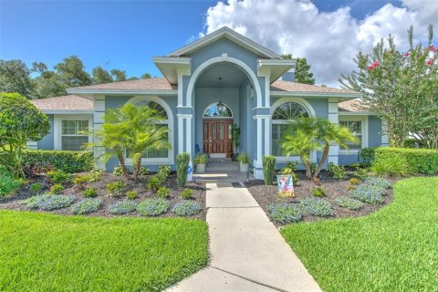 House in Valrico, Florida 4 bedrooms, 263.84 sq.m. № 2305088