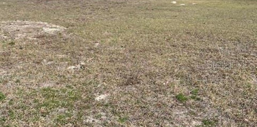 Terrain à Dade City, Floride № 392133