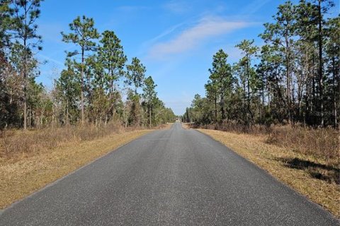 Terreno en venta en Dunnellon, Florida № 2232834 - foto 2