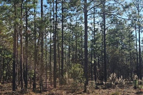 Terrain à Dunnellon, Floride № 2232834