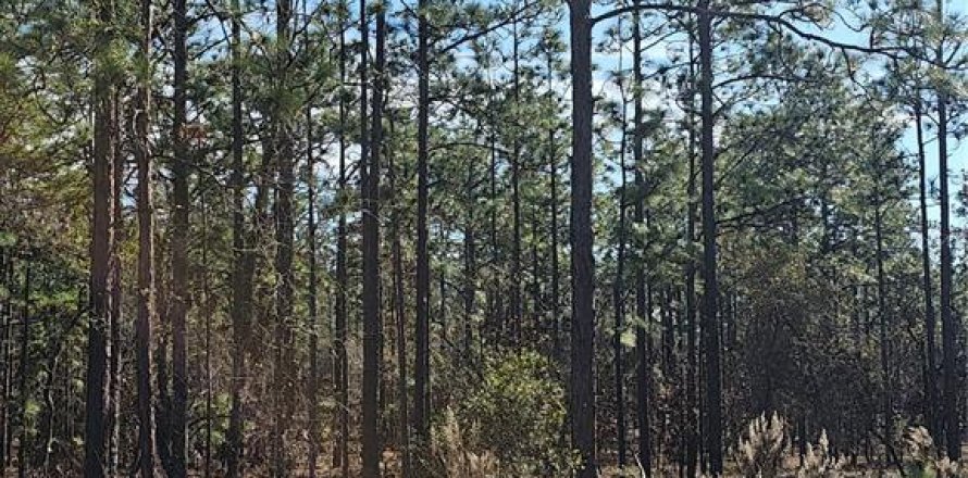 Terreno en Dunnellon, Florida № 2232834