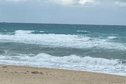 Condo in Boynton Beach, Florida, 1 bedroom  № 2249396 - photo 23