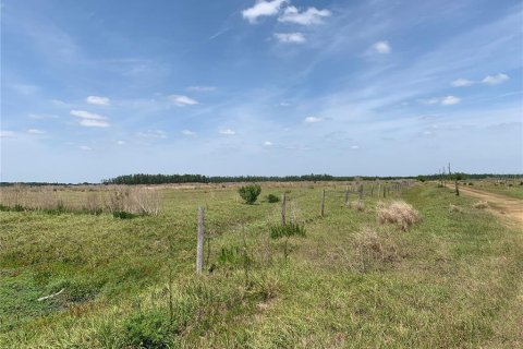 Terreno en venta en Zolfo Springs, Florida № 1909711 - foto 6