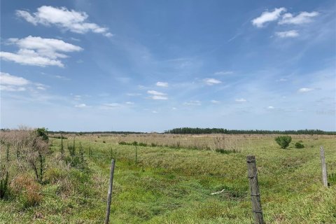 Terreno en venta en Zolfo Springs, Florida № 1909711 - foto 1