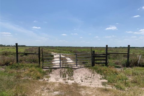 Terreno en venta en Zolfo Springs, Florida № 1909711 - foto 3
