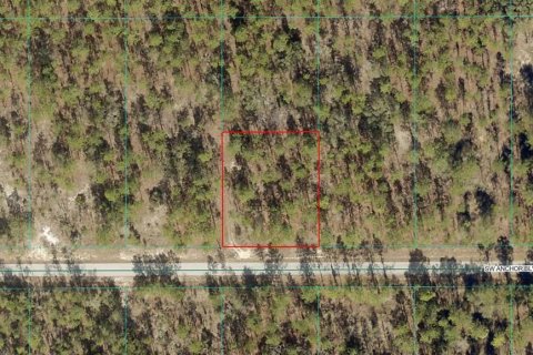 Land in Dunnellon, Florida № 2162062