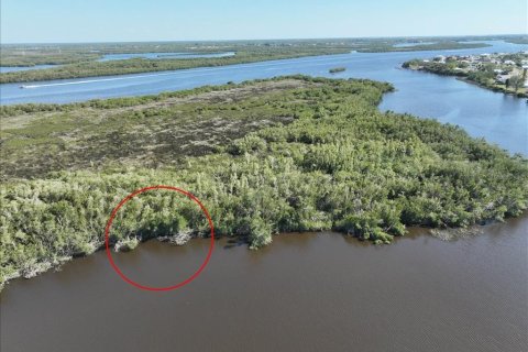 Land in Punta Gorda, Florida № 2161813 - photo 4