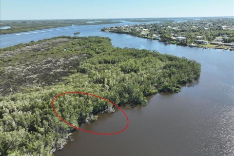 Land in Punta Gorda, Florida № 2161813 - photo 5
