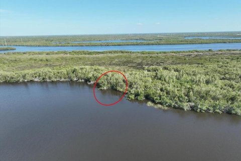 Land in Punta Gorda, Florida № 2161813