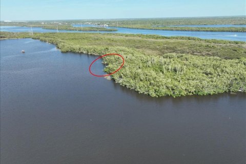 Land in Punta Gorda, Florida № 2161813 - photo 2