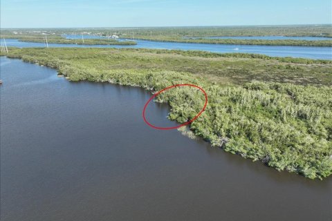 Land in Punta Gorda, Florida № 2161813 - photo 3