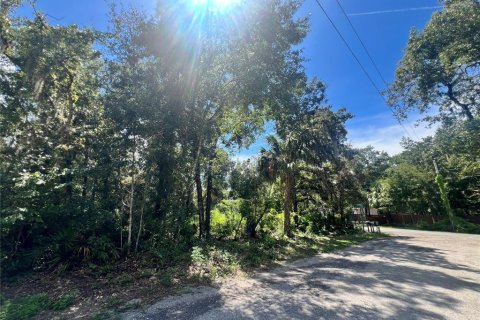 Terrain à Homosassa, Floride № 2363250