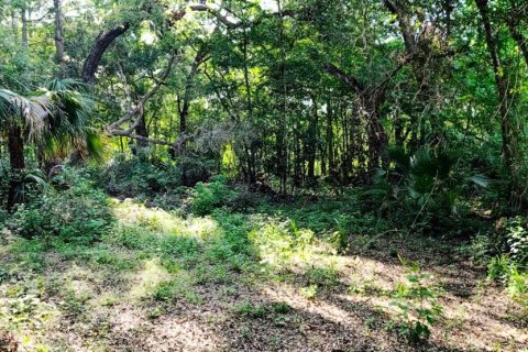 Land in Floral City, Florida № 1781157 - photo 5