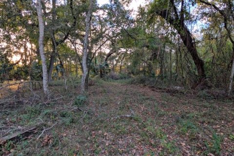 Land in Floral City, Florida № 1781157 - photo 6