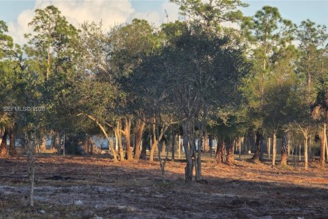 Terreno en venta en Clewiston, Florida № 2006074 - foto 8