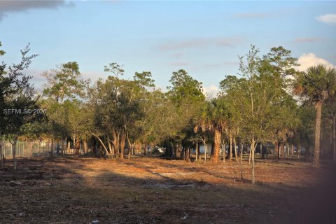 Terreno en venta en Clewiston, Florida № 2006074 - foto 5