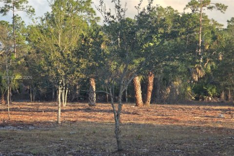 Terreno en venta en Clewiston, Florida № 2006074 - foto 9