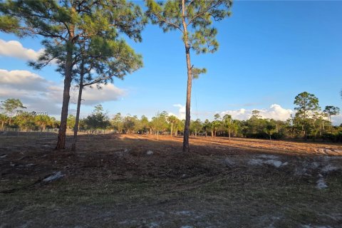 Terreno en venta en Clewiston, Florida № 2006074 - foto 4