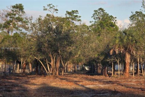 Terreno en venta en Clewiston, Florida № 2006074 - foto 7